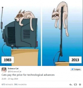 Science Cat sieht fern